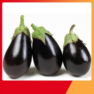 Hạt giống Cà tím giọt nước F1 Thái Lan