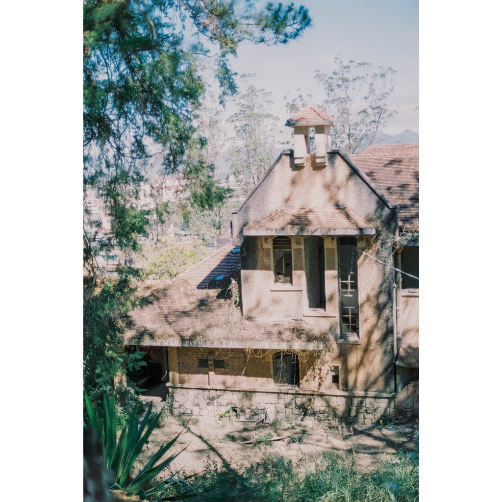 FUJIFILM 400  - 36 exp - Film máy ành