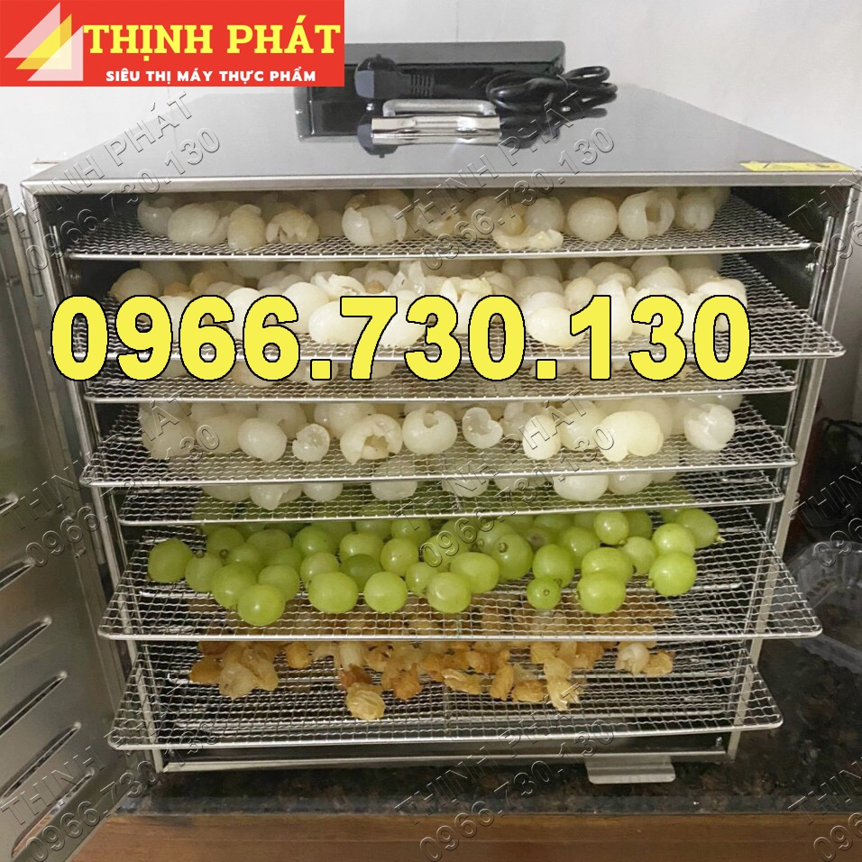 Tủ sấy thực phẩm, dược liệu, hoa quả, hải sản loại 10 Tầng INox cao cấp