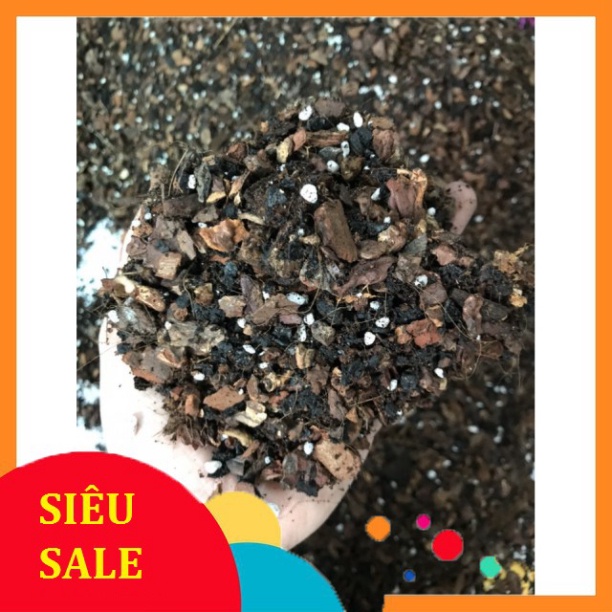 1kg Giá Thể Trồng Lan Cao Cấp Đã Xử Lý cho người tập chơi
