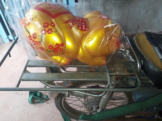 Heo đất cành đào size XL