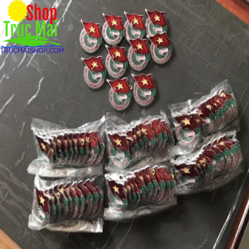 Huy Hiệu Đoàn Việt Nam