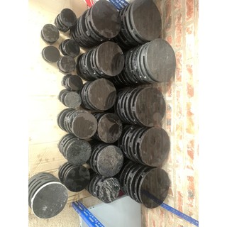 Nấm đáy 20cm ( Siêu bền ) dùng cho bể Koi