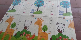 Chiếu xốp gấp gọn tiên dụng
