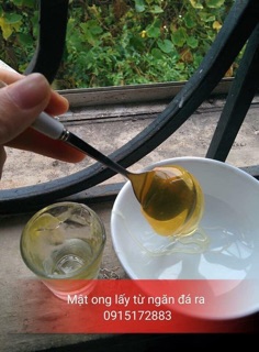 Mật ong hoa Cafe chuẩn