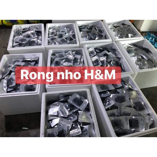 Rong Nho tách nước Organic mua 2 gói tặng kèm sốt mè rang cho món ăn thêm đậm vị