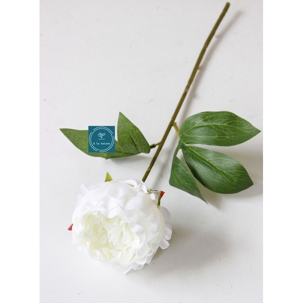 Cành hoa mẫu đơn lụa một bông lớn cao 48cm, hoa lụa trang trí, hoa decor chụp ảnh