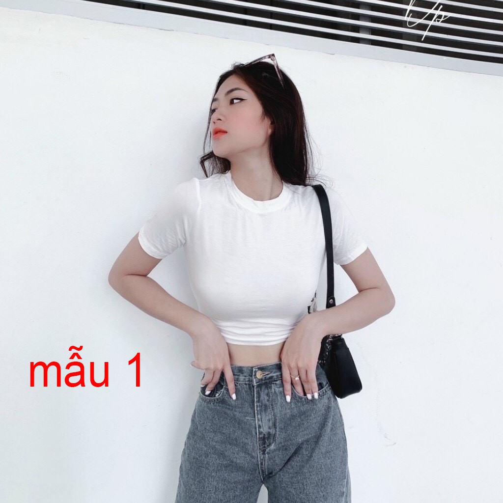 Áo Croptop Chất Borip Dày Dặn Mềm Mại Co Giản Mạnh Size 53kg Ảnh Thật 100% | BigBuy360 - bigbuy360.vn