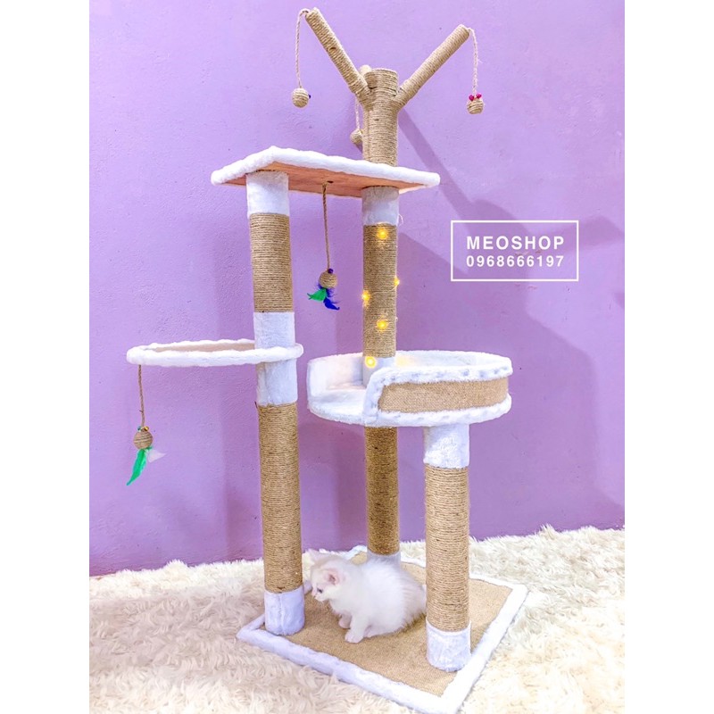 Nhà Cây Phối Mây Tre Đan Cho Mèo😻tặng kèm 1 hộp pate 80g