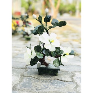 Cây hoa đá phong thuỷ 25cm