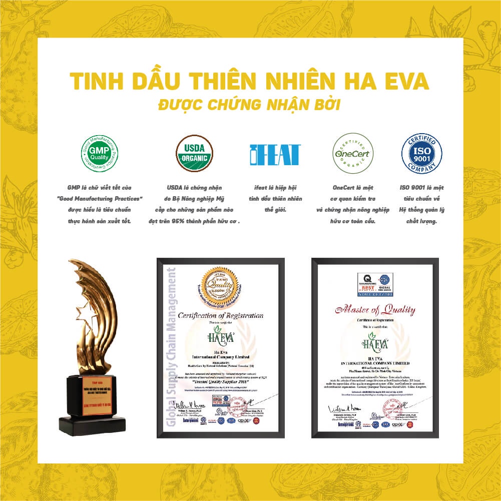 Tinh dầu xông Cam Hương Haeva Cao Cấp, 100% Thiên Nhiên, giúp khử mùi, làm mát không khí, Chai 10ml/30m/100ml