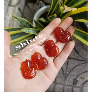 Hồ ly đỏ - 200k