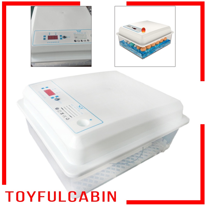 Máy Ấp Trứng Kỹ Thuật Số Tự Động Điều Khiển Nhiệt Độ