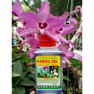 KAMSU 2SL Thuốc đặc trị bệnh thán thư