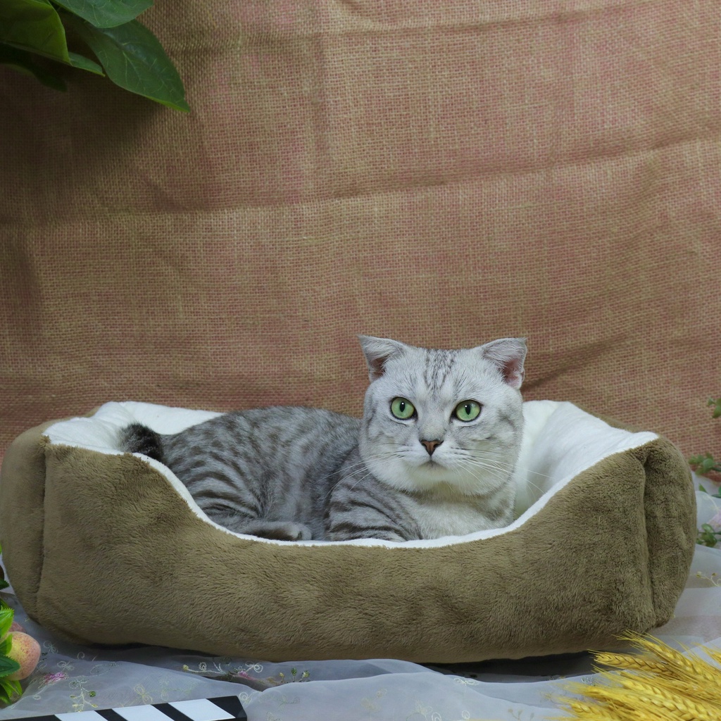 [ HÀNG MỚI ] Nệm cho chó mèo hình xương cao cấp loại 1