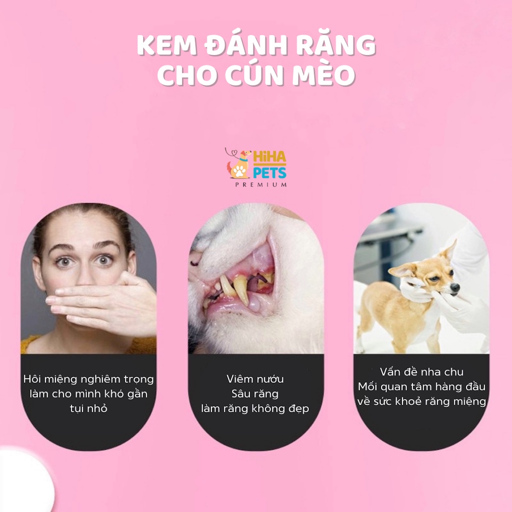 Bộ Kem Đánh Răng Và Bàn Chải Đánh Răng Chó Mèo Bộ Kem Đánh Răng Có Bàn Chải Cho Thú Cưng Hiha Pets.