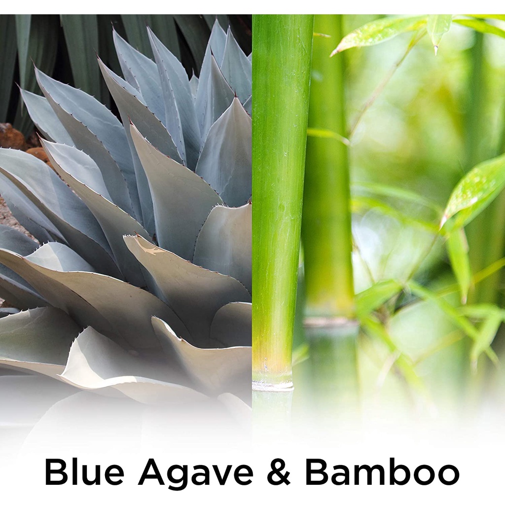 Tinh Dầu Cắm Điện Airwick Essential Oils Hương Blue Agave and Bamboo