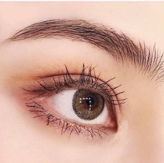 Lens brown hot nhất 2020