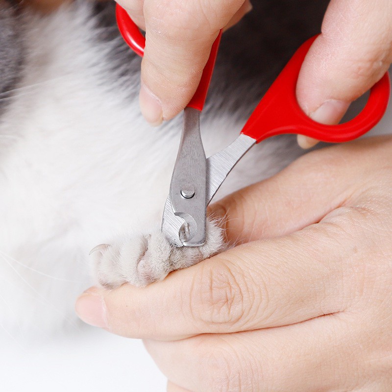 [Mã PET50K giảm Giảm 10% - Tối đa 50K đơn từ 250K] [HÀ NỘI] Dụng cụ cắt chuyên dụng cho chó mèo