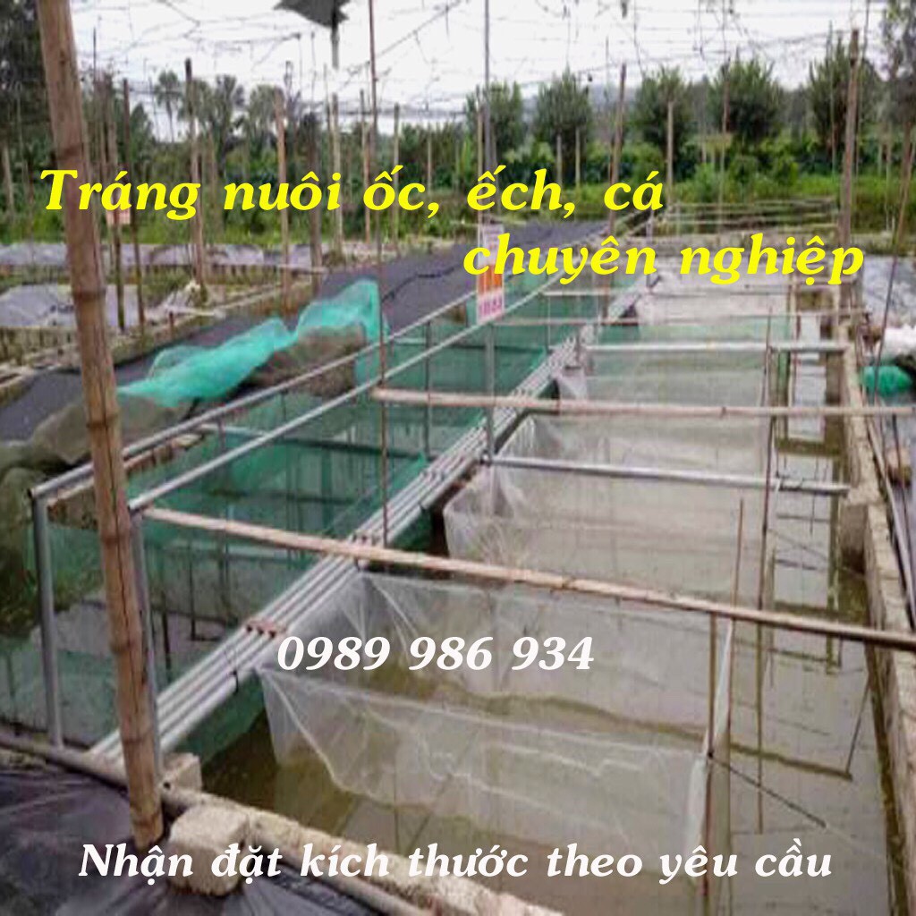 Tráng nuôi ốc nhồi , ốc bươu chuyên nghiệp có 19 kích thước lựa chọn