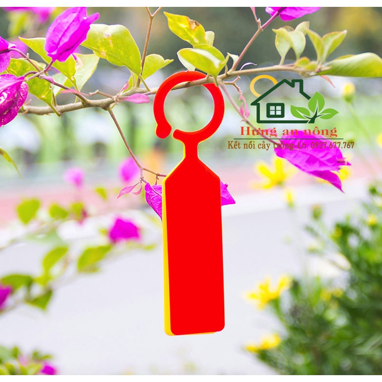 Sét 50 thẻ móc vòng treo cành ghi tên giống cây 2.4x11cm