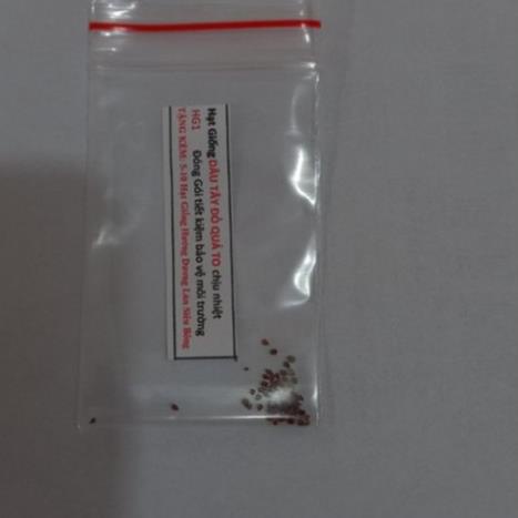 Gói 50 Hạt giống Dâu Tây Quả To, Chịu nhiệt  free ship toàn quốc hạt giống hoa
