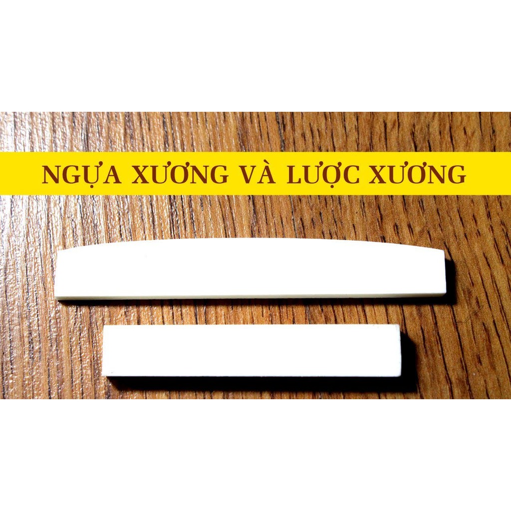 Bộ lược ngựa đàn guitar băng xương bò (Acoustic và Classic)