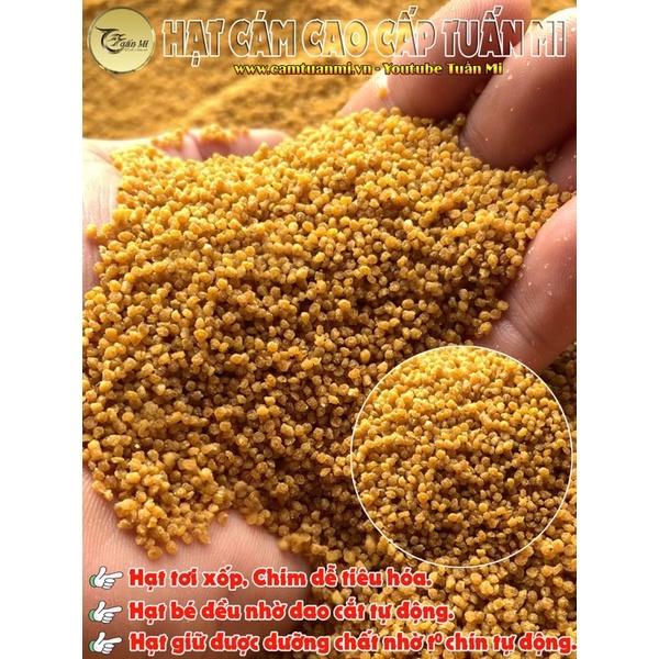 CÁM HOẠ MI VIP TUẤN MI  200g