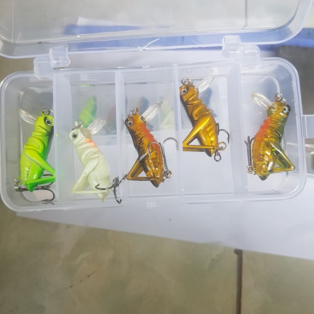 Mồi Côn Trùng, mồi câu lure