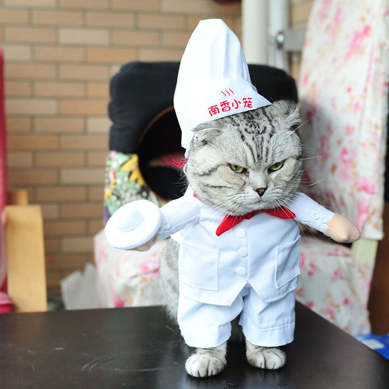 Bộ Áo Liền Quần Hóa Trang Cướp Biển Hoạt Hình Dễ Thương Cho Chó Mèo
