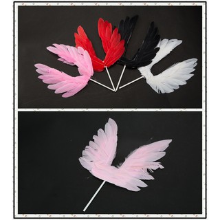 Cánh lông vũ thiên thần