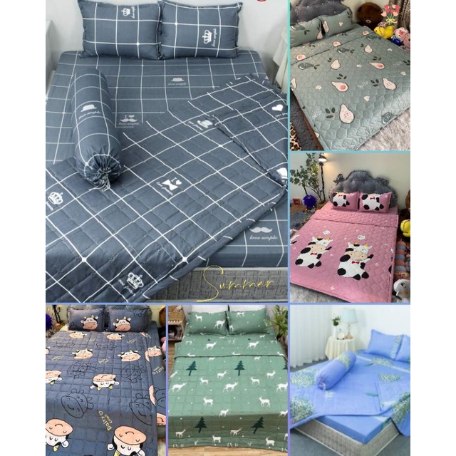 (rẻ vô địch) Bộ ga gối 5 món chăn thu hè ga chun vỏ gối đầu cotton poly khách hàng được chọn mẫu thoải mái khi đến shop | BigBuy360 - bigbuy360.vn