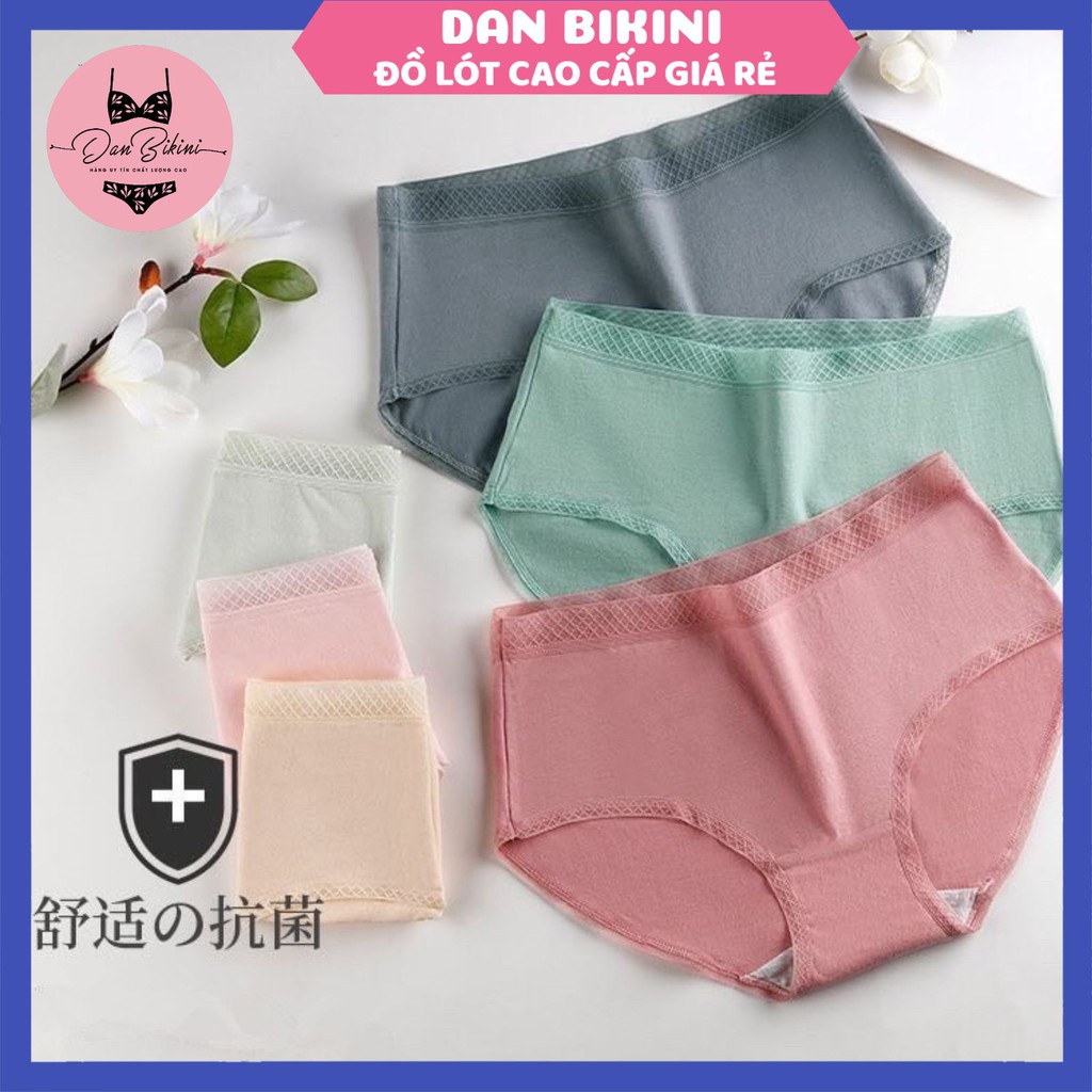 Quần Lót Nữ ❤️FREESHIP❤️ Quần Lót Nữ Cotton viền chun kẻ ô thoáng mát kháng khuẩn ôm dáng mã QL01