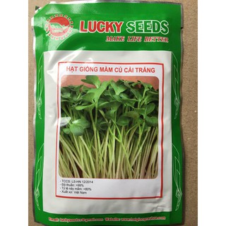 Hạt giống rau mầm củ cải trắng nhập khẩu-  chuyên dụng.