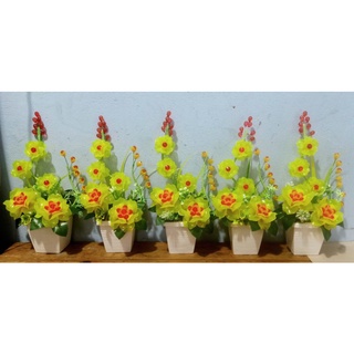 chậu hoa pha lê