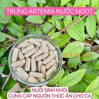 Artemia nước ngọt - Dạng viên nhộng - artemia nuôi sinh khối - TyGuppy