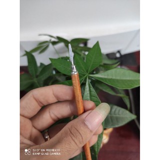 cây lấy khóe móng cán gỗ