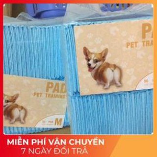 [Siêu Giảm Giá] Miếng lót khay vệ sinh cho chó mèo, tấm lót vệ sinh Super Queen siêu thấm hút [1,6kg]