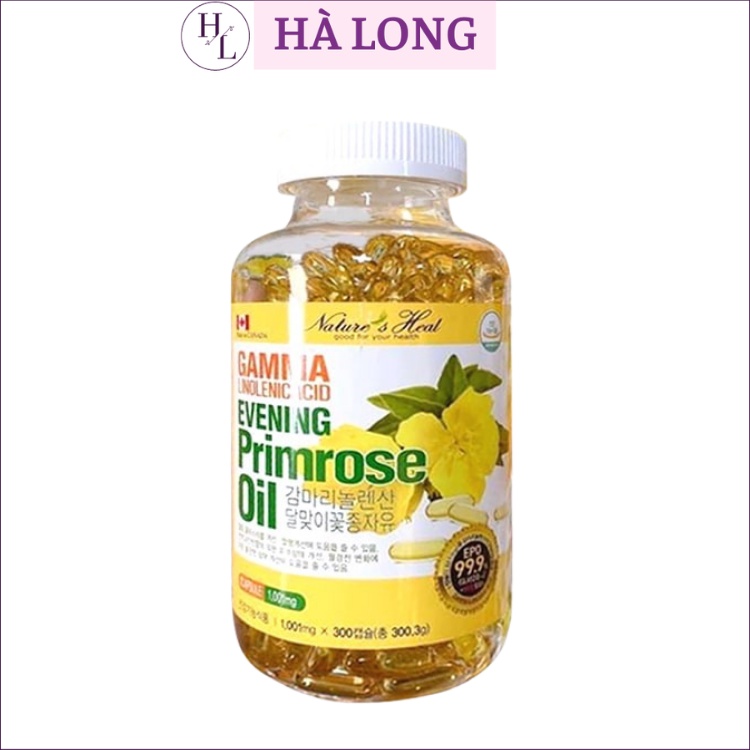 Tinh Dầu Hoa Anh Thảo Hàn Quốc Viên Nang Điều Hòa Nội Tiết Evening Primrose Oil Hanmi Gamma 300 Viên