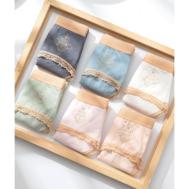 Quần Lót Cotton Royal Kháng Khuẩn Chống Viêm Nhiễm CT04 | BigBuy360 - bigbuy360.vn