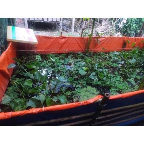 Bể Bạt Nuôi ốc , ếch , cá, lươn -  5 x 4 x 1m ( Bạt A Cường)