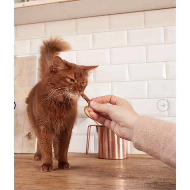 [𝙌𝒖̀𝙖 𝙩𝒂̣̆𝙣𝙜] Gimcat Treat que- đồ ăn thưởng vị gà và cá  / gimcat  sticks cho mèo mọi lứa tuổi