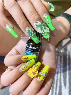 PRIMER ĐẮP BỘT MỸ