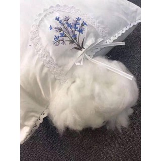 🏵️FREESHIP🏵️ Combo 5  Ruột gối thơm