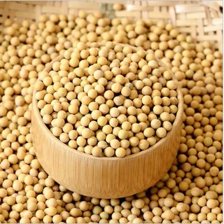 Đậu nành giống cũ Non-GMO