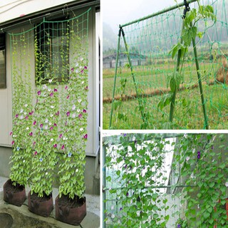 Lưới Trồng Giàn Cây Leo ama88