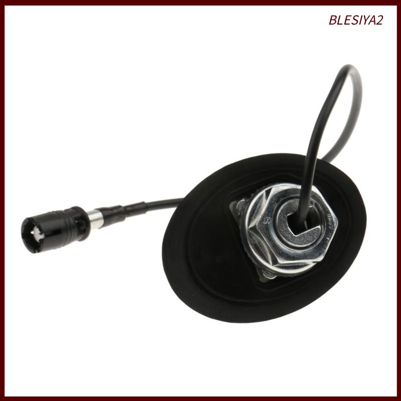 Ăng Ten AM / FM Radio AM / FM 9 '' Gắn Nóc Xe Hơi Blesiya2 + Đế Giữ