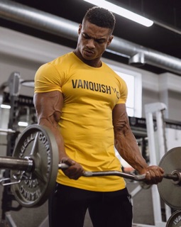 Áo thun vanquish - cotton 4 chiều - Nhập khẩu