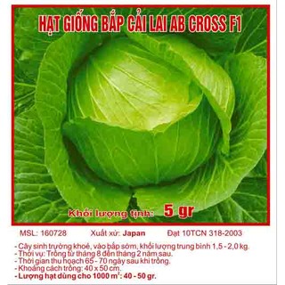 Hạt giống bắp cải