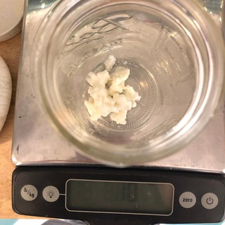 Nấm lên men sữa chua kefir